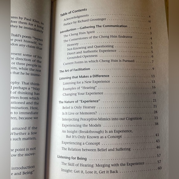 Ancient Wisdom, New Spirit: Investigations Into the Nature of Being - Picture 4 of 8